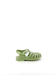 Sun Olive