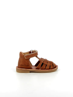 Sunlittle Cognac